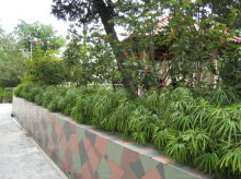 Blk 78 Moh Guan Terrace (S)162078 #146742